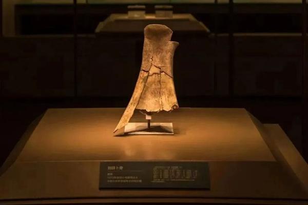 2024年殷墟博物館新館什么時候開館？附預約參觀和優惠購票攻略