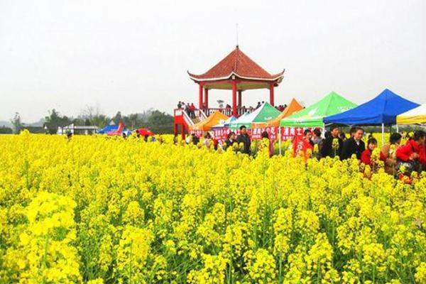 2024重慶潼南油菜花節(jié)門票+時間+地點+攻略
