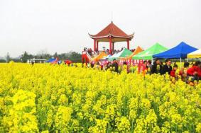 2024重慶潼南油菜花節門票+時間+地點+攻略