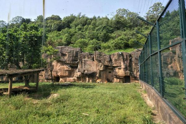 長沙生態(tài)動物園游玩攻略 一日游最佳路線