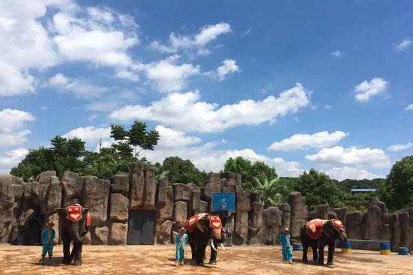 長沙生態(tài)動物園游玩攻略 一日游最佳路線