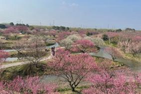 花開海上生態(tài)園最佳觀賞時(shí)間2024