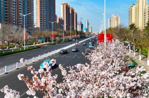 威海賞花路線(xiàn)怎么走