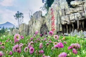 2024天府花溪谷景區(qū)門票優(yōu)惠政策