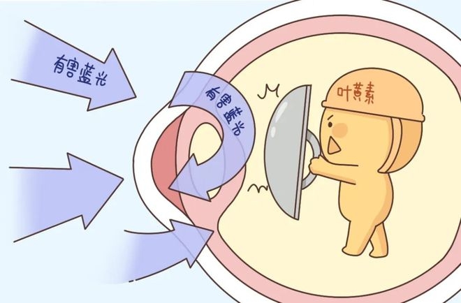 葉黃素對眼睛真的有效嗎？一文讀懂它的功效與作用