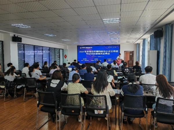 肥東縣組織召開2024年安徽省專精特新中小企業(yè)申報(bào)專題培訓(xùn)暨融資宣貫會(huì)